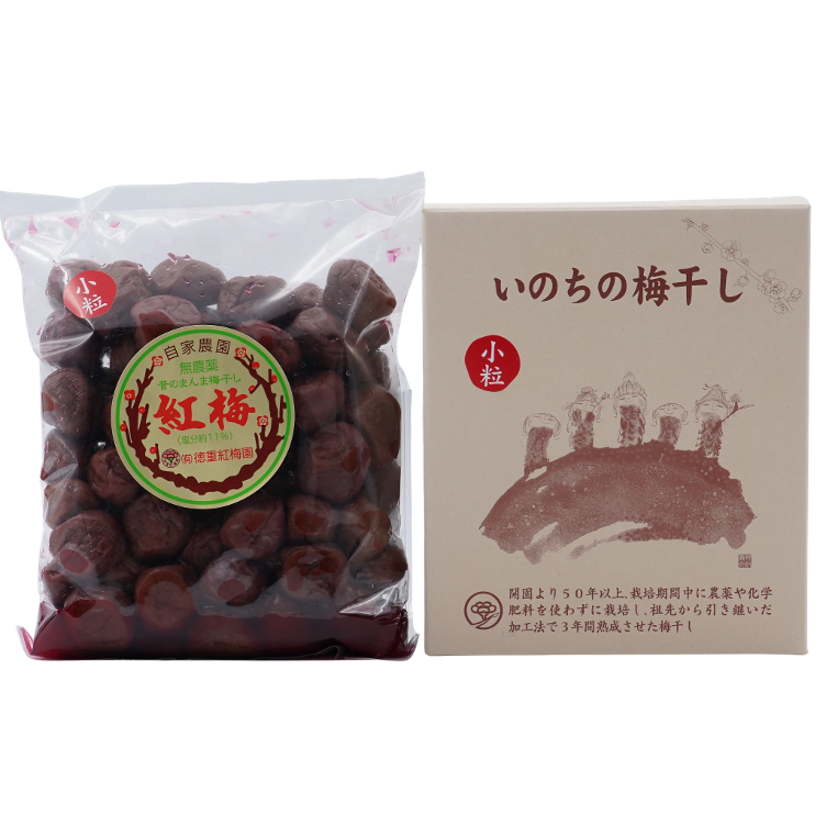 Umeboshi - Plums in salt