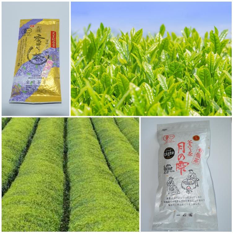 Isshinen und Miyazaki Sabo, Miyazaki, Kyushu