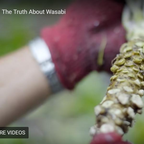 The Thruths about Wasabi