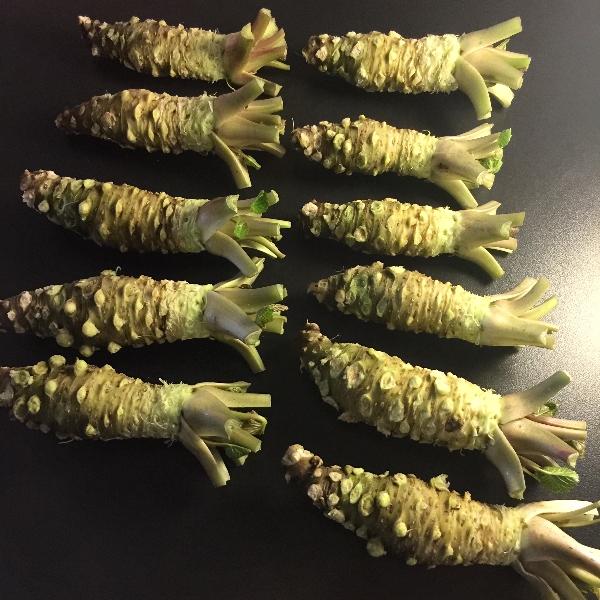 WASABI IN SUPER QUALITÄT