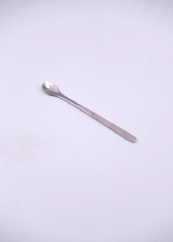 Mini Steel Spoon
