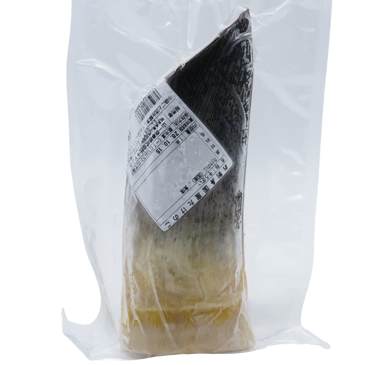 Bamboo-Takenoko TK aus Japan