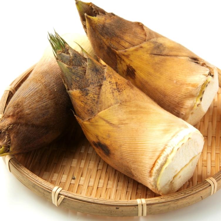 Bamboo-Takenoko TK aus Japan - 2