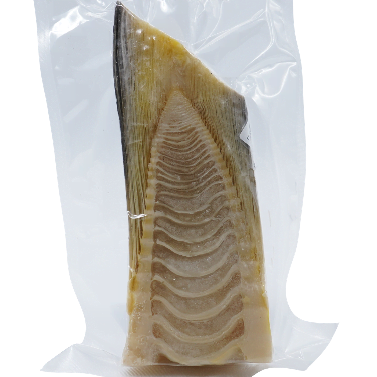 Bamboo-Takenoko TK aus Japan - 3