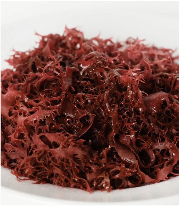 Tosakanori - Rotalge getrocknet - 0