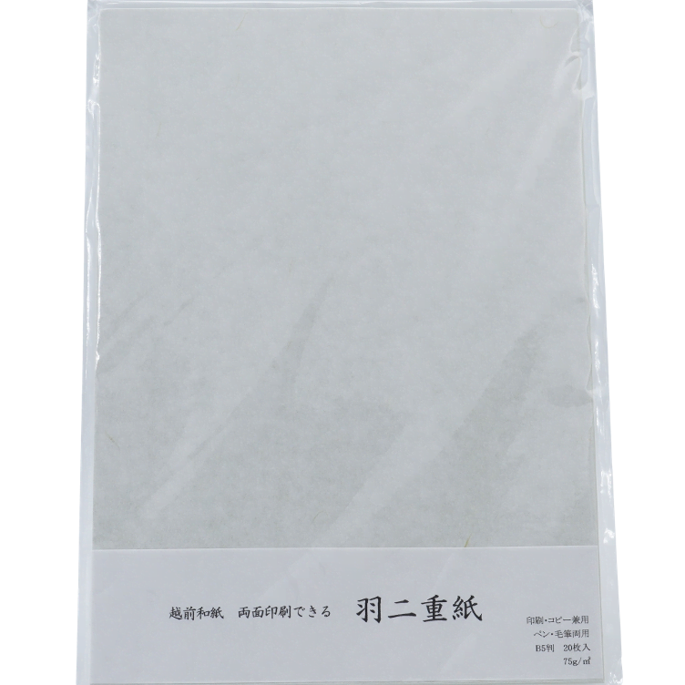 Japanisches Briefpapier / B5 – 20 Stück