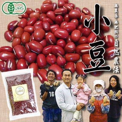 Adzuki 250gr red organic beans from Kokkaido